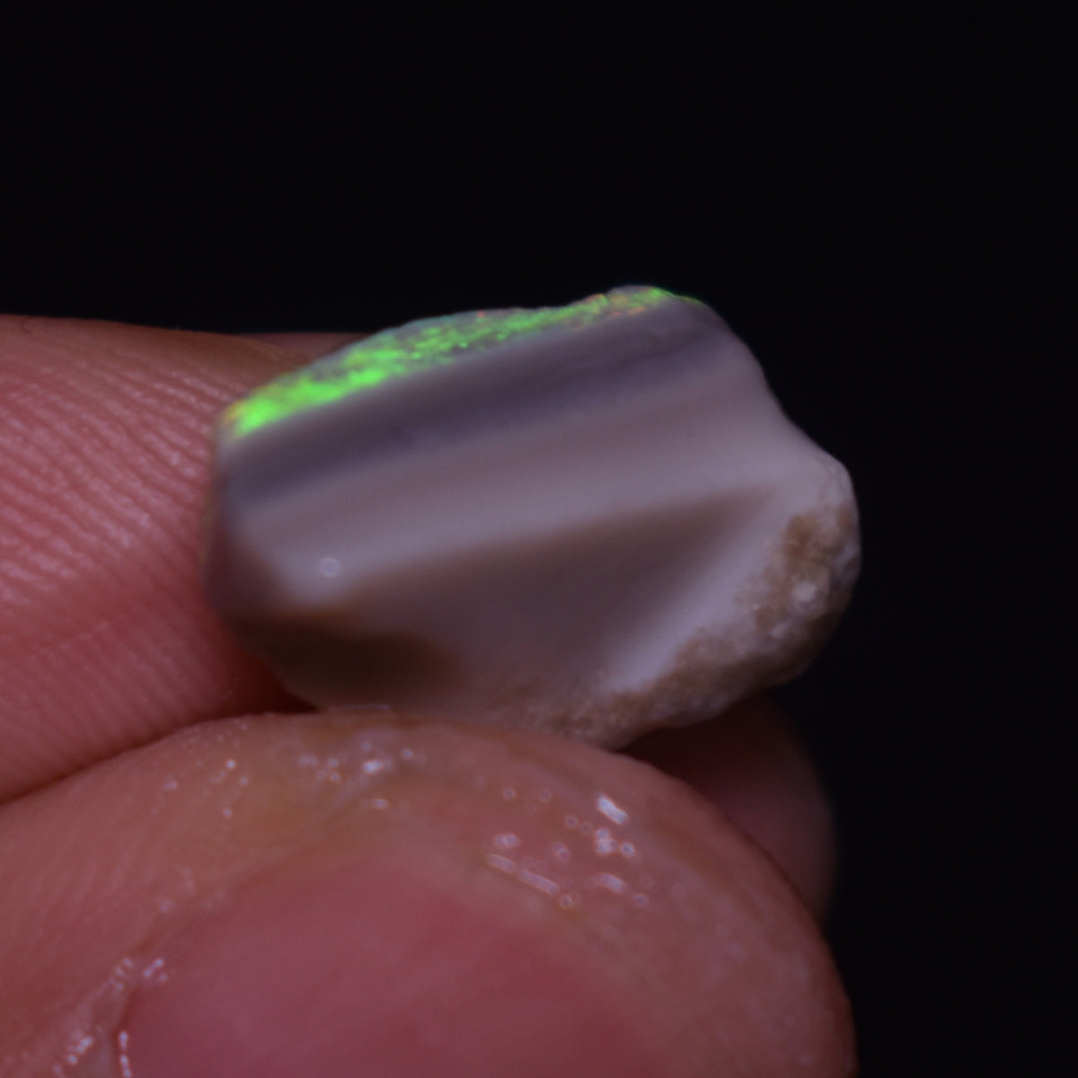 Mintabie Semi-Black Raw Rough Opals - 3 Count - Specimen from South Australia, 20ct weight #50