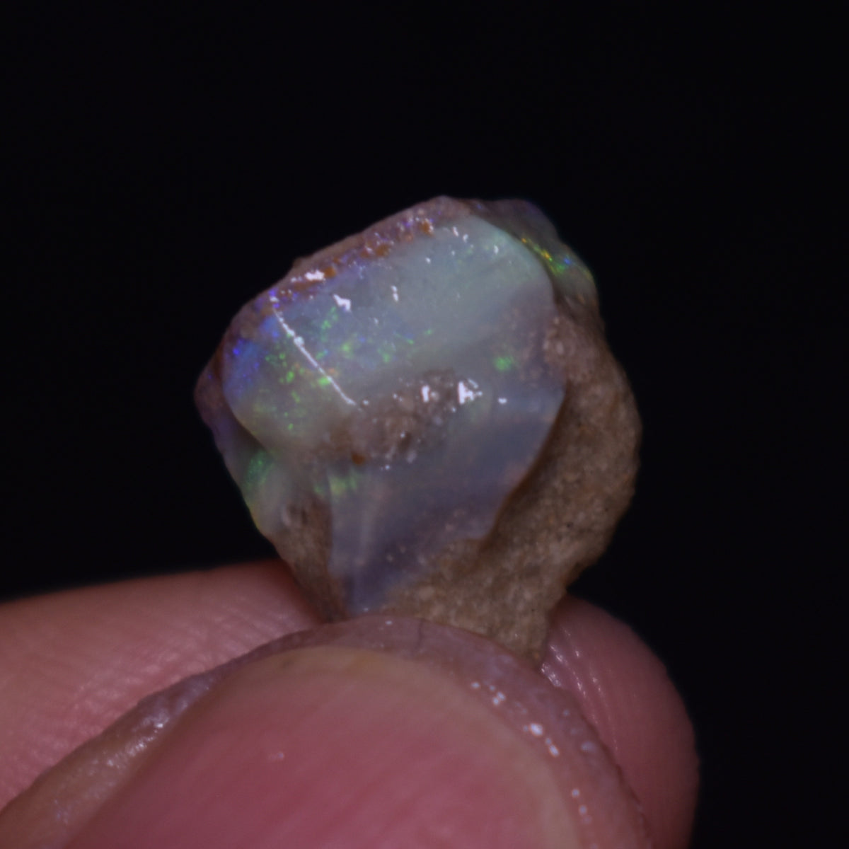 Mintabie Semi-Black Raw Rough Opals - 3 Count - Specimen from South Australia, 20ct weight #50