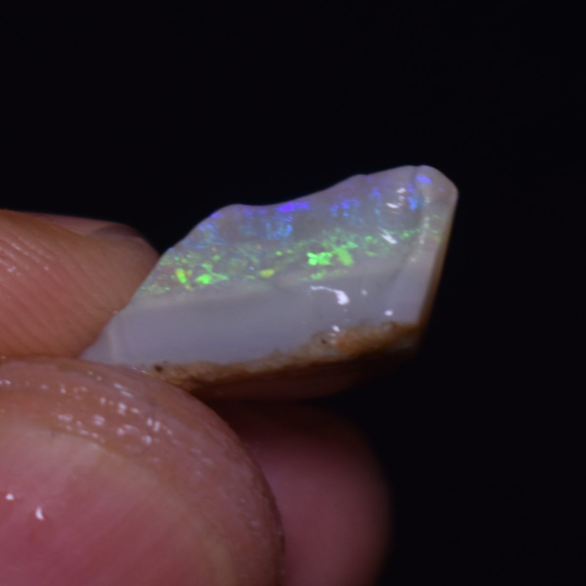 Mintabie Semi-Black Raw Rough Opals - 3 Count - Specimen from South Australia, 20ct weight #50