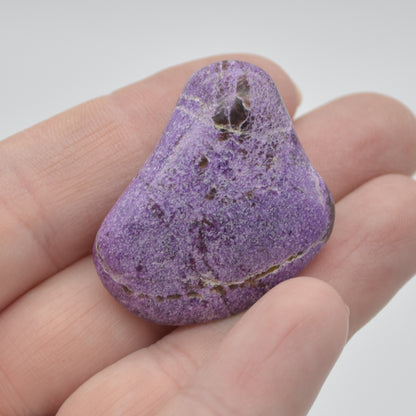 Stichtite Tumble Stone - 11 grams