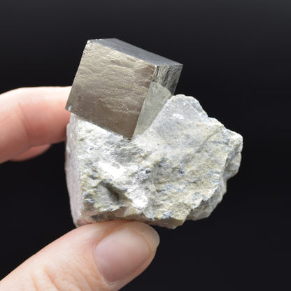 Pyrite Natural Crystal Cube Cluster in Basalt from Navajun, Spain, Fools Gold, 81 grams #21