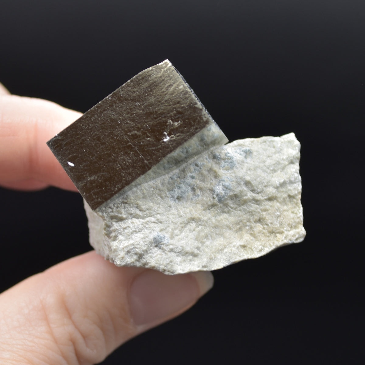 Pyrite Natural Crystal Cube Cluster in Basalt Matrix from Navajun, Spain, Fools Gold, 64 grams #22