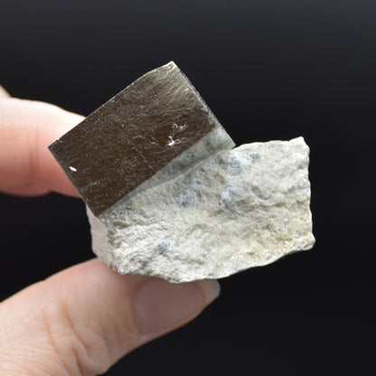 Pyrite Natural Crystal Cube Cluster in Basalt Matrix from Navajun, Spain, Fools Gold, 64 grams #22