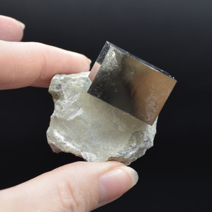 Pyrite Natural Crystal Cube Cluster in Basalt Matrix from Navajun, Spain, Fools Gold, 64 grams #22