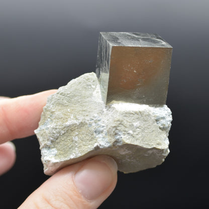 Pyrite Natural Crystal Cube Cluster in Basalt Matrix from Navajun, Spain, Fools Gold, 105 grams #29