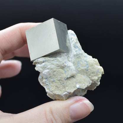 Pyrite Natural Crystal Cube Cluster in Basalt Matrix from Navajun, Spain, Fools Gold, 88 grams #31