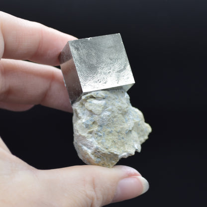Pyrite Natural Crystal Cube Cluster in Basalt Matrix from Navajun, Spain, Fools Gold, 88 grams #31