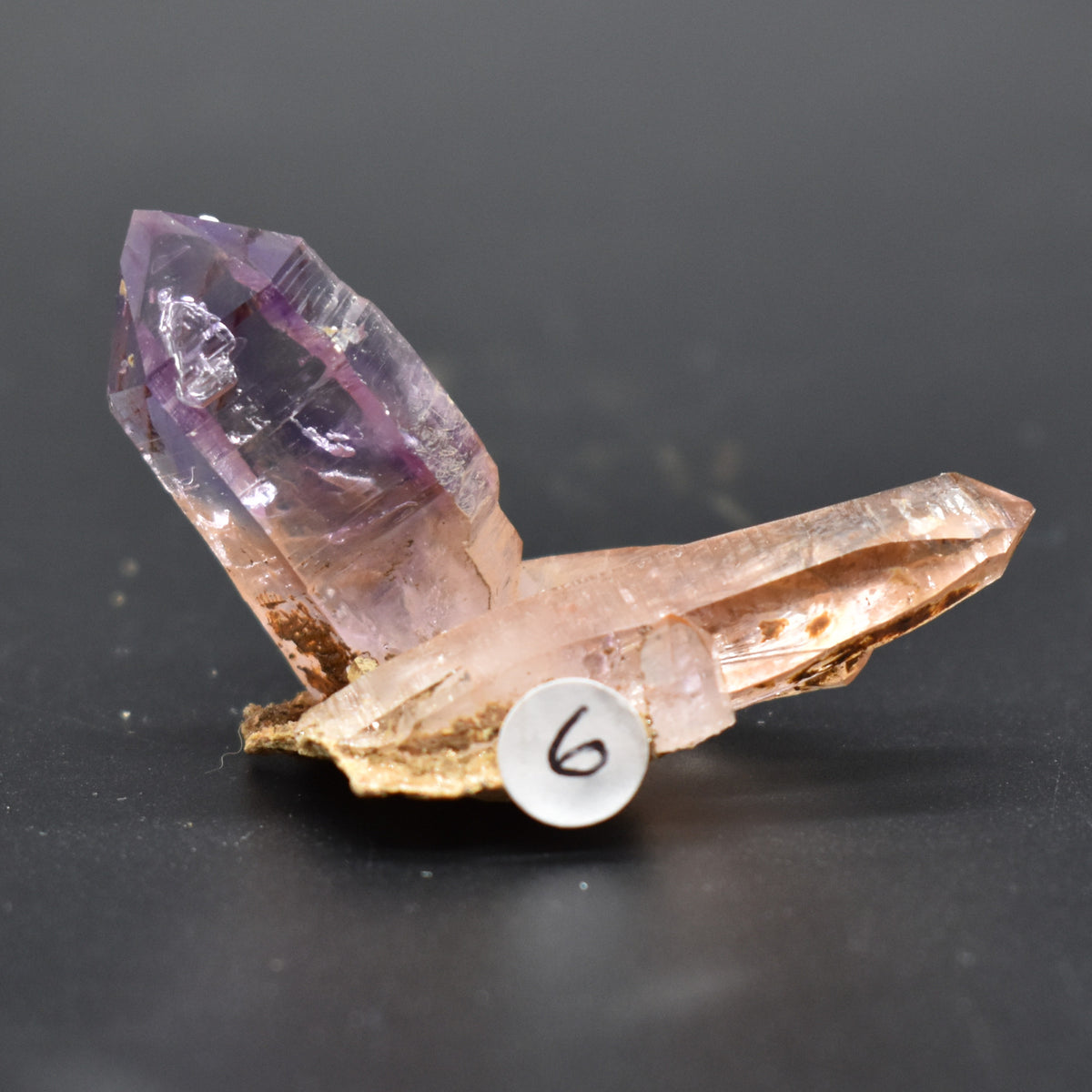 Vera Cruz Amethyst Raw Crystal Cluster - 19 grams - #06