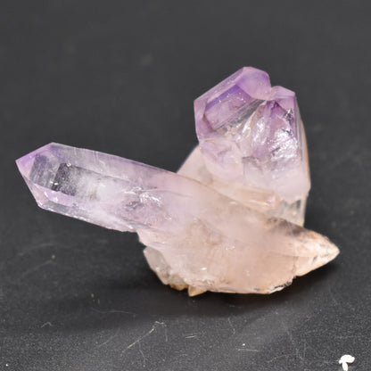 Vera Cruz Amethyst Raw Crystal Cluster - 29 grams - #09