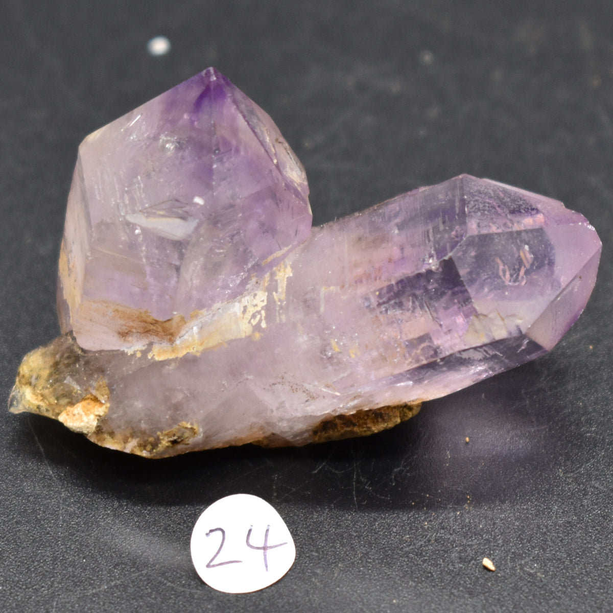 Vera Cruz Amethyst Raw Crystal Cluster - 22 grams - #24
