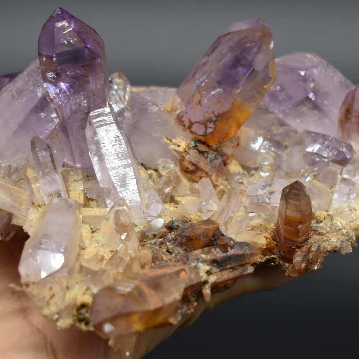 Vera Cruz Amethyst Raw Crystal Cluster - 336 grams - #42