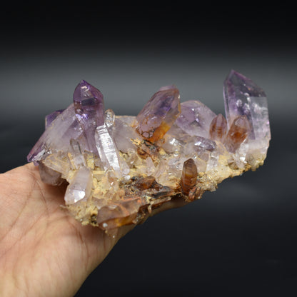 Vera Cruz Amethyst Raw Crystal Cluster - 336 grams - #42
