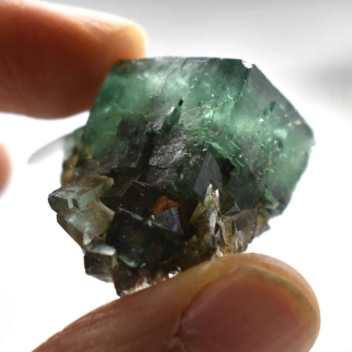 Diana Maria Fluorite Raw Crystal Cluster Specimen - Sourced UK - 6 sizes