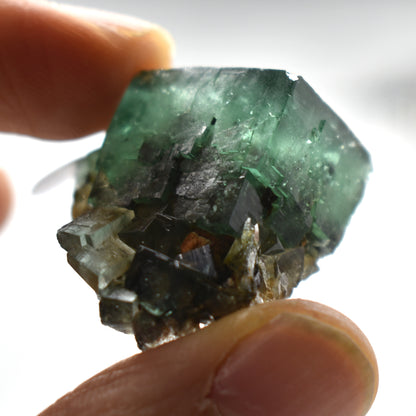 Diana Maria Fluorite Raw Crystal Cluster Specimen - Sourced UK - 6 sizes