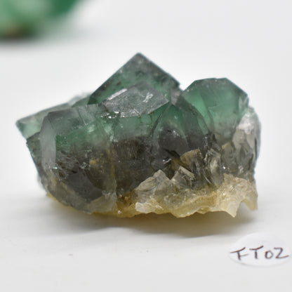 Diana Maria Fluorite Raw Crystal Cluster Specimen - Sourced UK - 6 sizes
