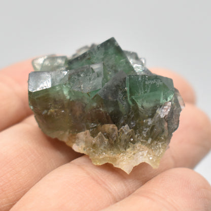 Diana Maria Fluorite Raw Crystal Cluster Specimen - Sourced UK - 6 sizes