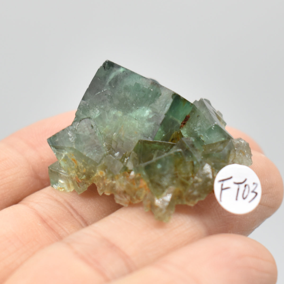 Diana Maria Fluorite Raw Crystal Cluster Specimen - Sourced UK - 6 sizes