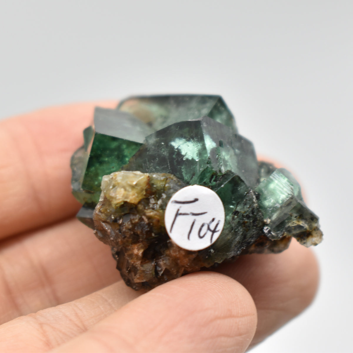 Diana Maria Fluorite Raw Crystal Cluster Specimen - Sourced UK - 6 sizes