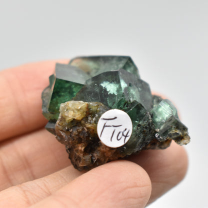 Diana Maria Fluorite Raw Crystal Cluster Specimen - Sourced UK - 6 sizes