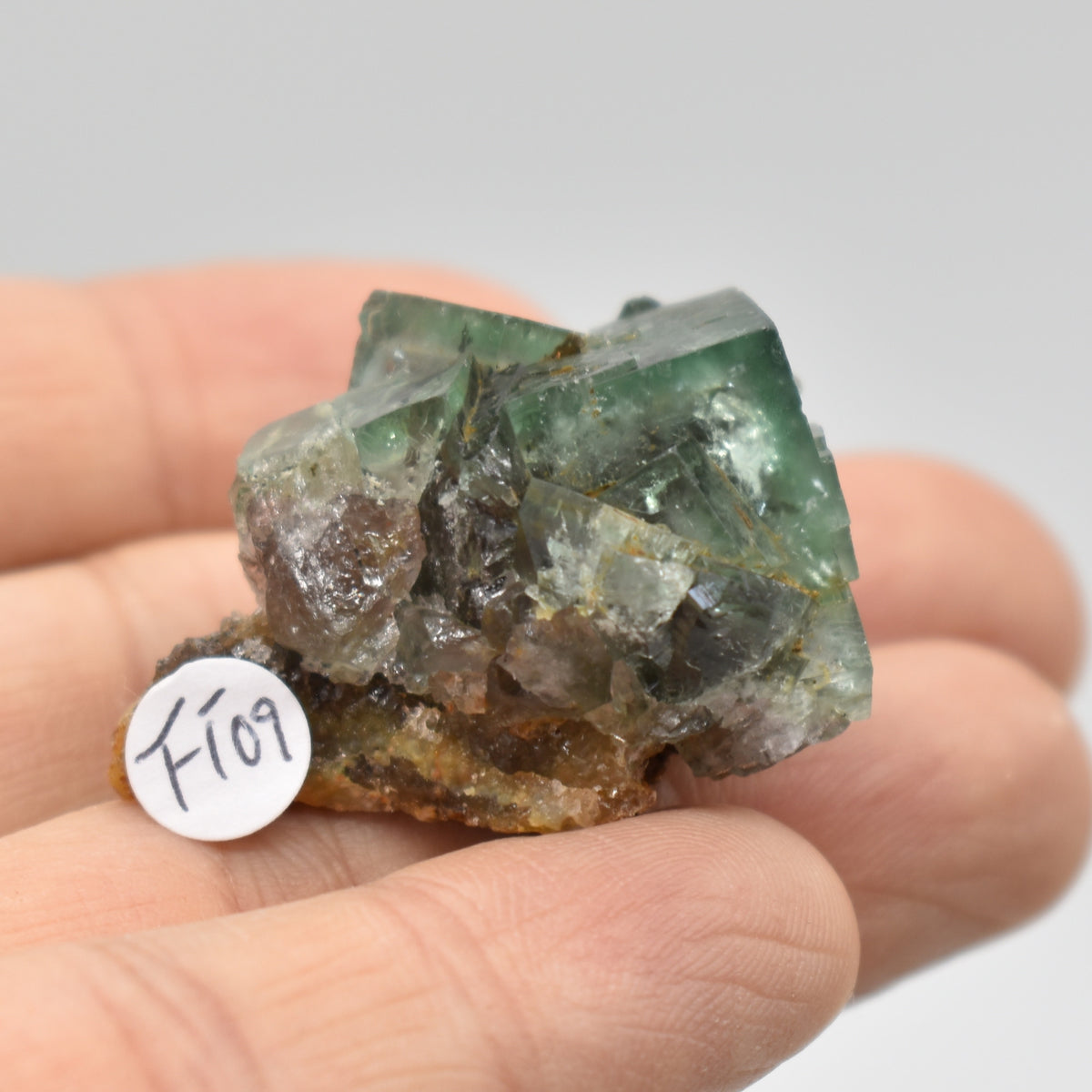Diana Maria Fluorite Raw Crystal Cluster Specimen - Sourced UK - 5 sizes