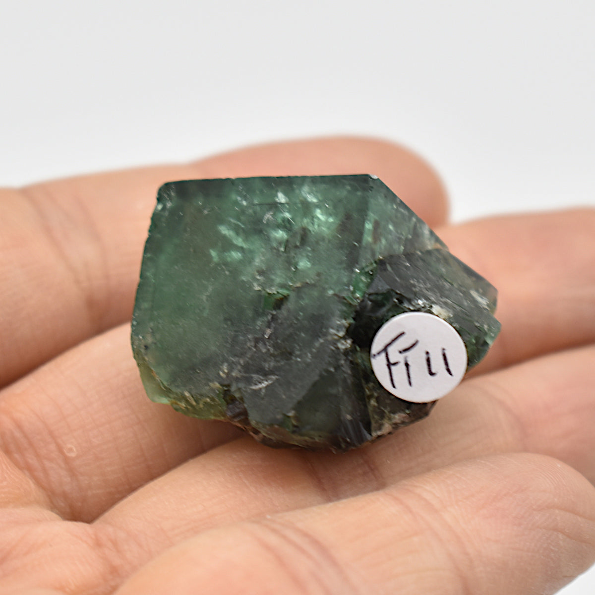 Diana Maria Fluorite Raw Crystal Cluster Specimen - Sourced UK - 5 sizes