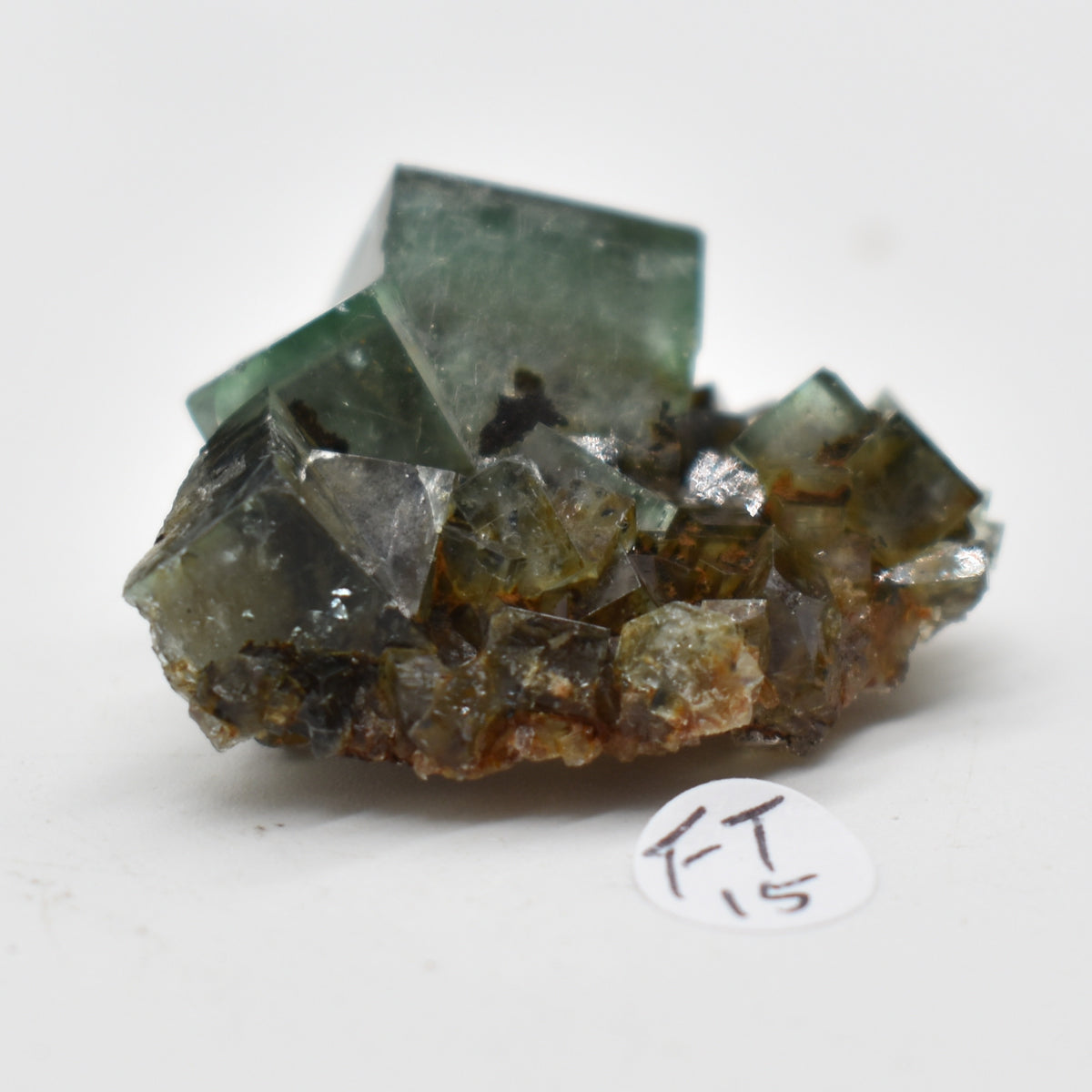 Diana Maria Fluorite Raw Crystal Cluster Specimen - Sourced UK - 8 sizes