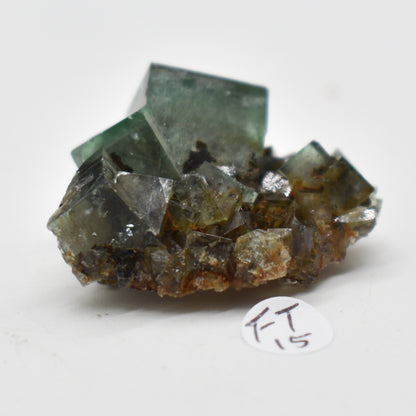 Diana Maria Fluorite Raw Crystal Cluster Specimen - Sourced UK - 8 sizes