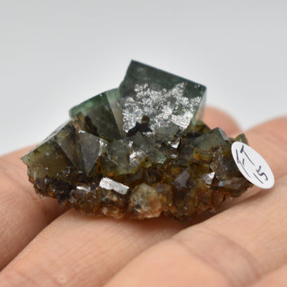 Diana Maria Fluorite Raw Crystal Cluster Specimen - Sourced UK - 8 sizes