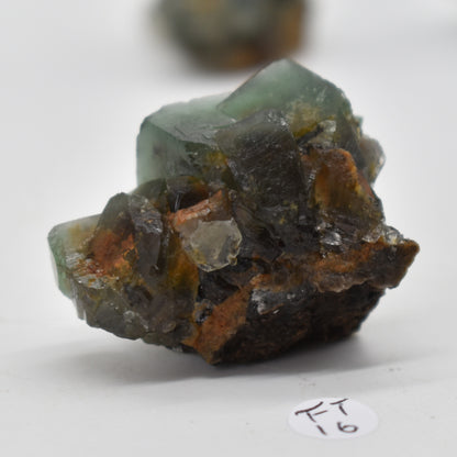 Diana Maria Fluorite Raw Crystal Cluster Specimen - Sourced UK - 8 sizes