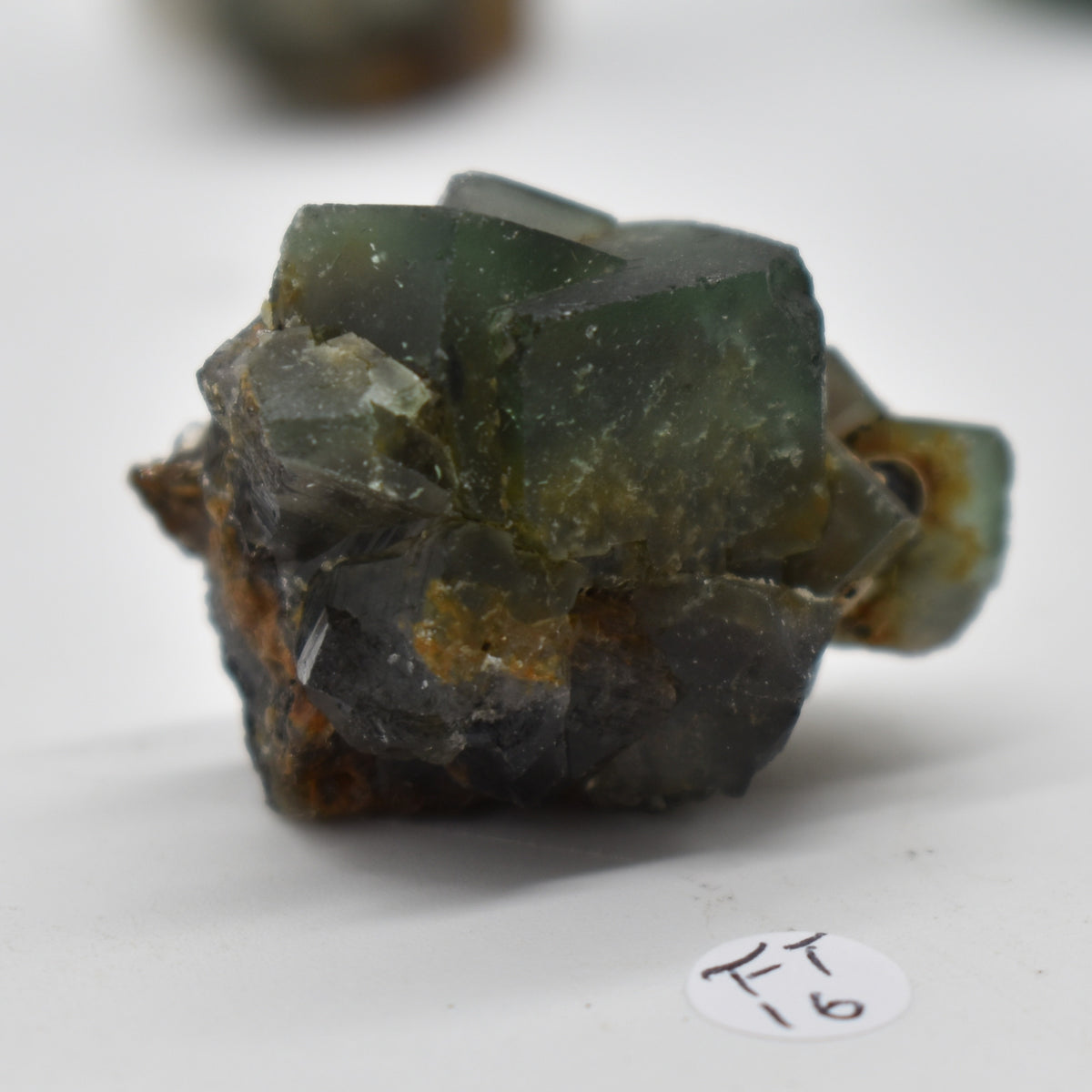 Diana Maria Fluorite Raw Crystal Cluster Specimen - Sourced UK - 8 sizes
