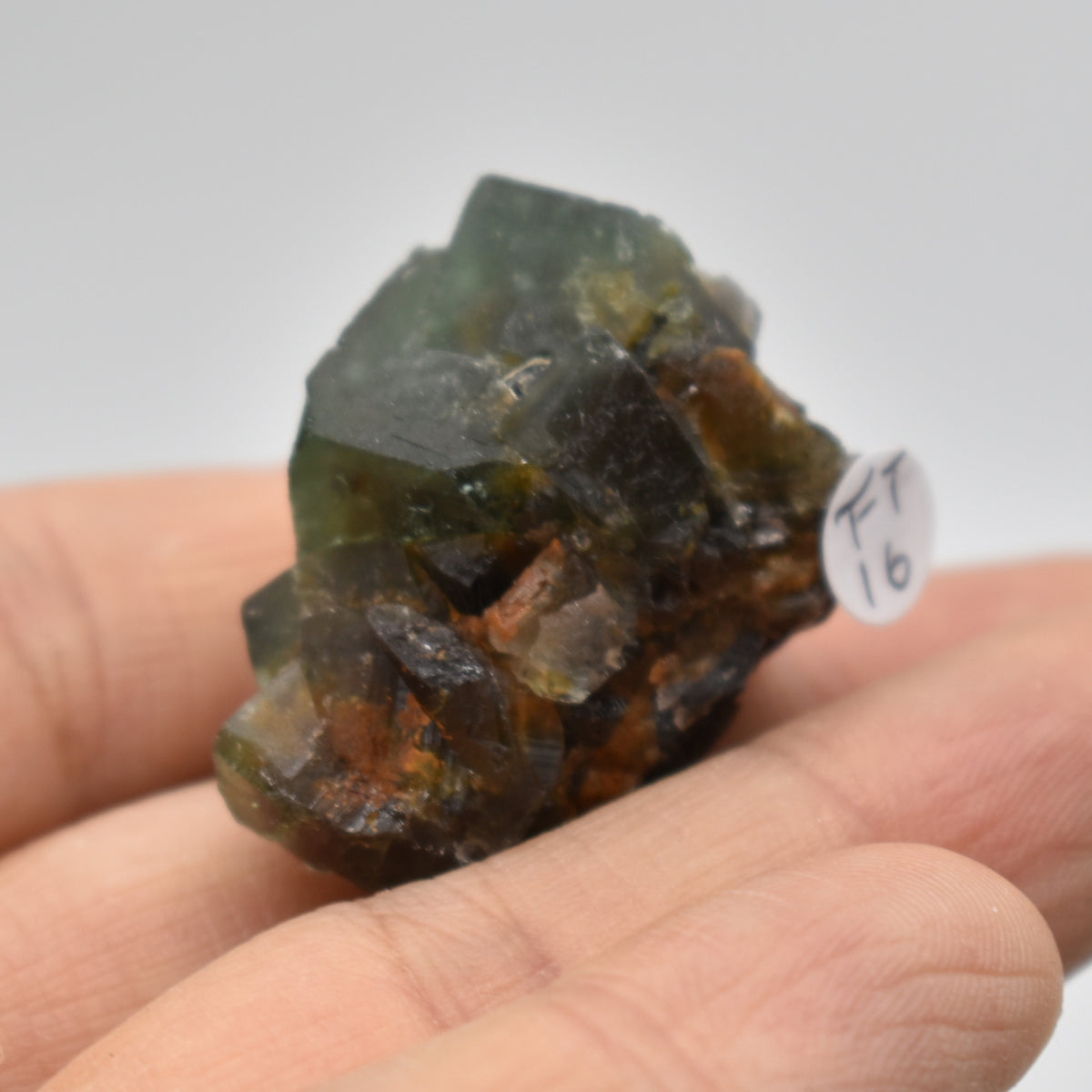 Diana Maria Fluorite Raw Crystal Cluster Specimen - Sourced UK - 8 sizes