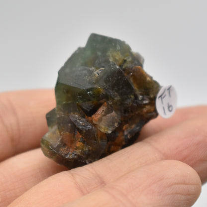Diana Maria Fluorite Raw Crystal Cluster Specimen - Sourced UK - 8 sizes