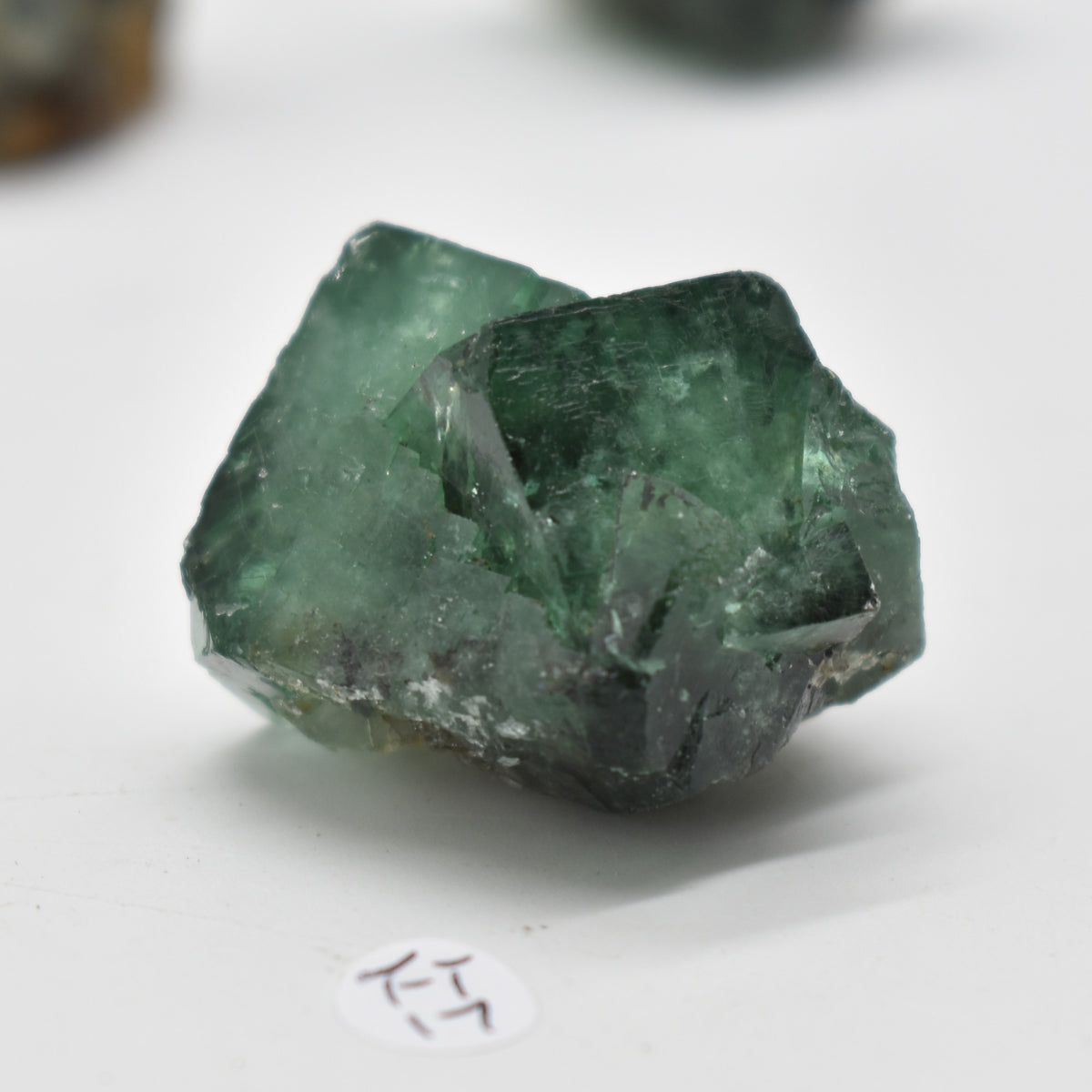 Diana Maria Fluorite Raw Crystal Cluster Specimen - Sourced UK - 8 sizes