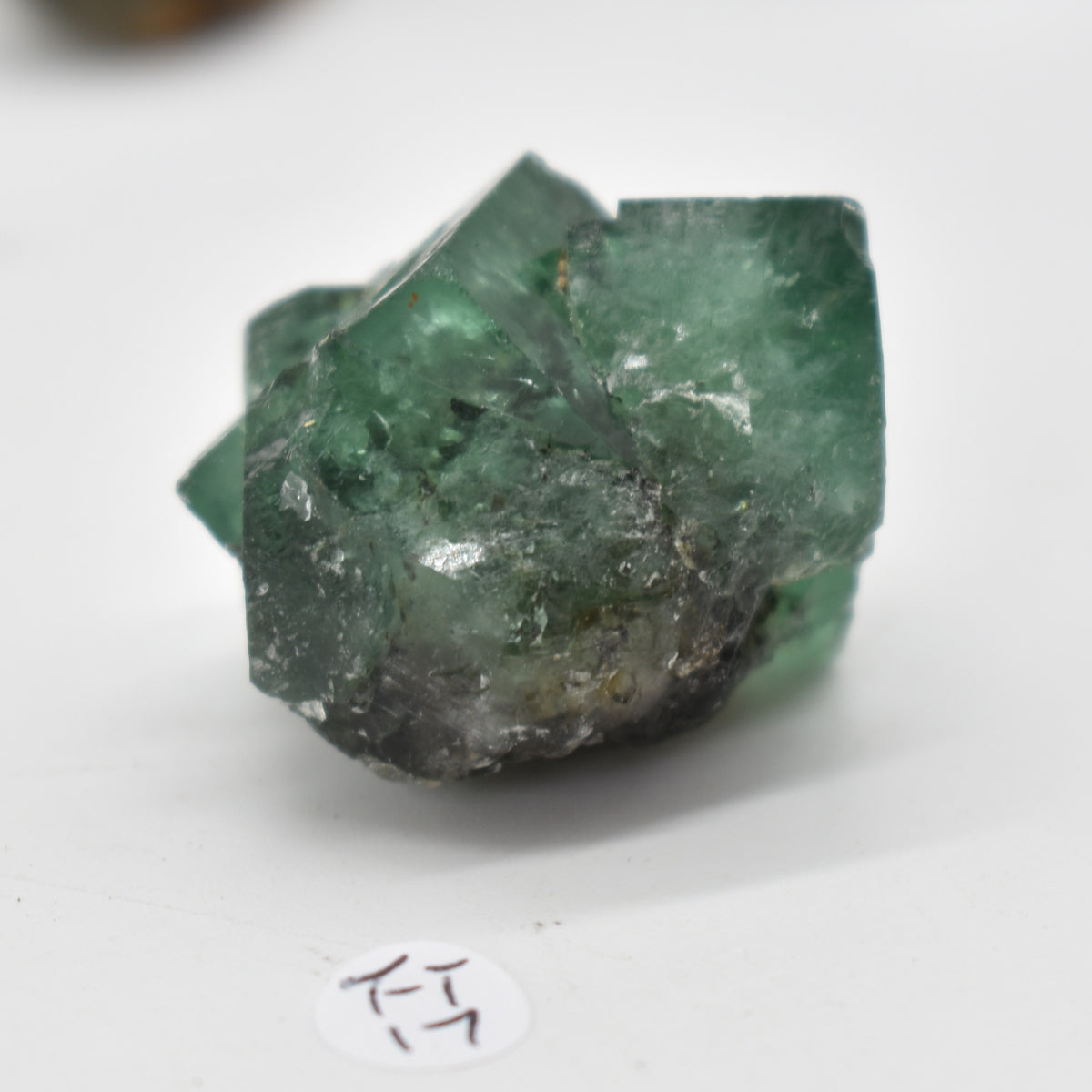 Diana Maria Fluorite Raw Crystal Cluster Specimen - Sourced UK - 8 sizes