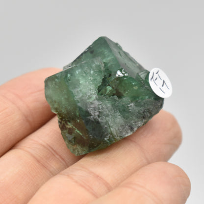 Diana Maria Fluorite Raw Crystal Cluster Specimen - Sourced UK - 8 sizes