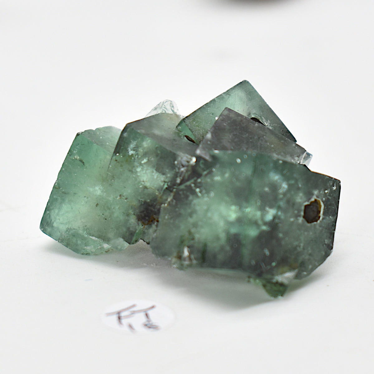 Diana Maria Fluorite Raw Crystal Cluster Specimen - Sourced UK - 8 sizes