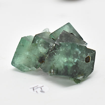 Diana Maria Fluorite Raw Crystal Cluster Specimen - Sourced UK - 8 sizes