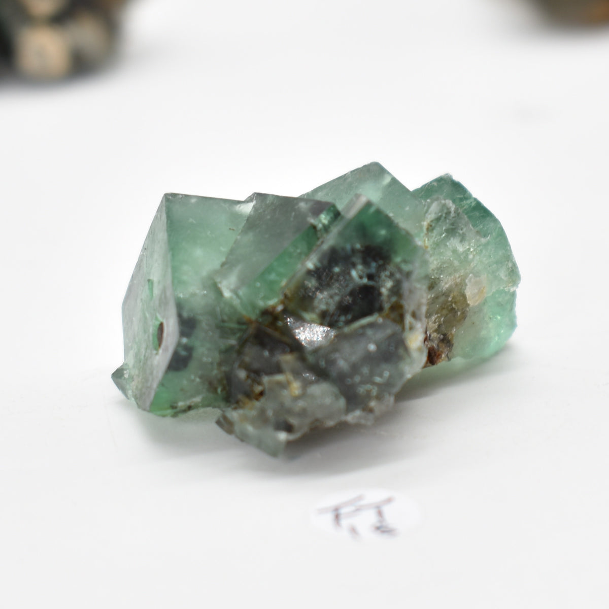 Diana Maria Fluorite Raw Crystal Cluster Specimen - Sourced UK - 8 sizes