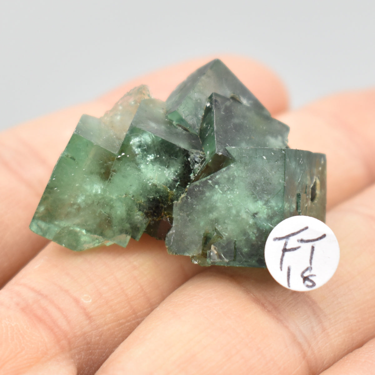 Diana Maria Fluorite Raw Crystal Cluster Specimen - Sourced UK - 8 sizes