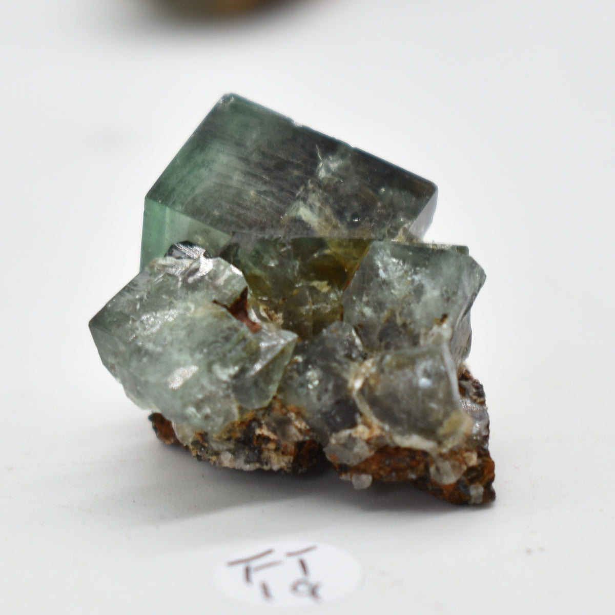 Diana Maria Fluorite Raw Crystal Cluster Specimen - Sourced UK - 8 sizes