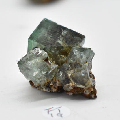 Diana Maria Fluorite Raw Crystal Cluster Specimen - Sourced UK - 8 sizes