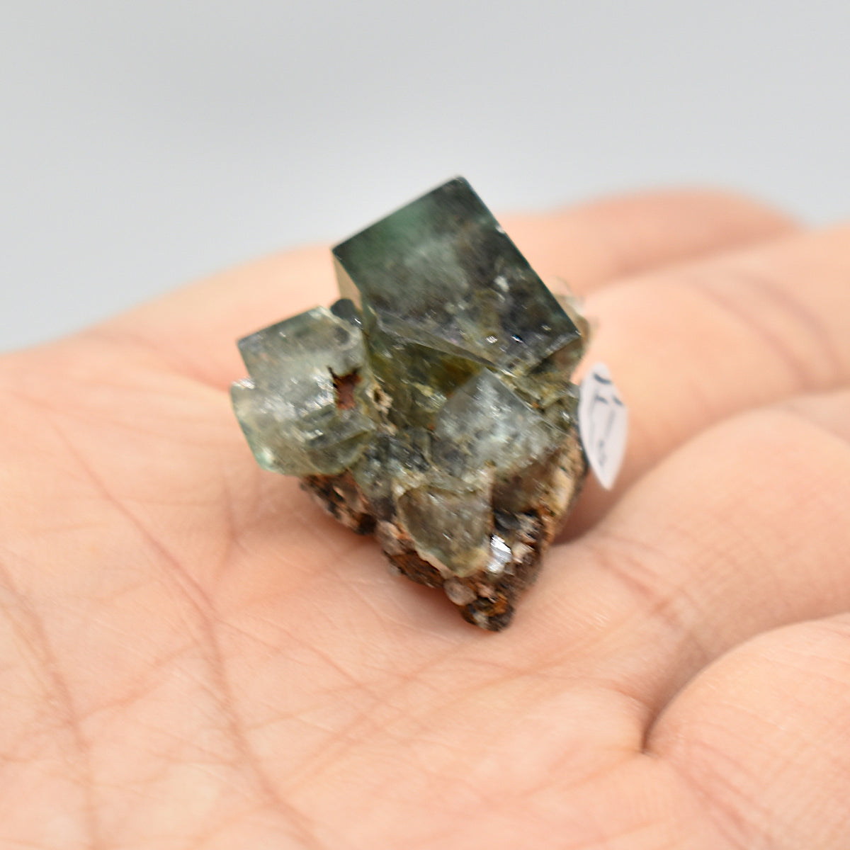 Diana Maria Fluorite Raw Crystal Cluster Specimen - Sourced UK - 8 sizes