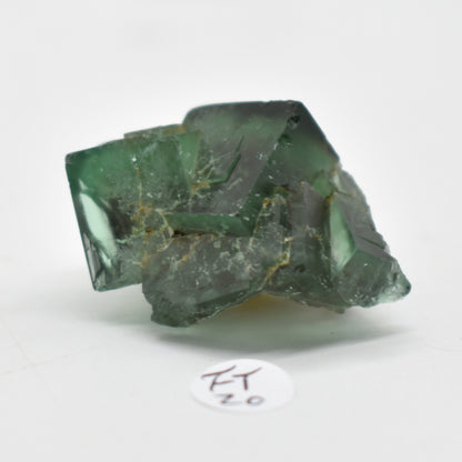 Diana Maria Fluorite Raw Crystal Cluster Specimen - Sourced UK - 8 sizes