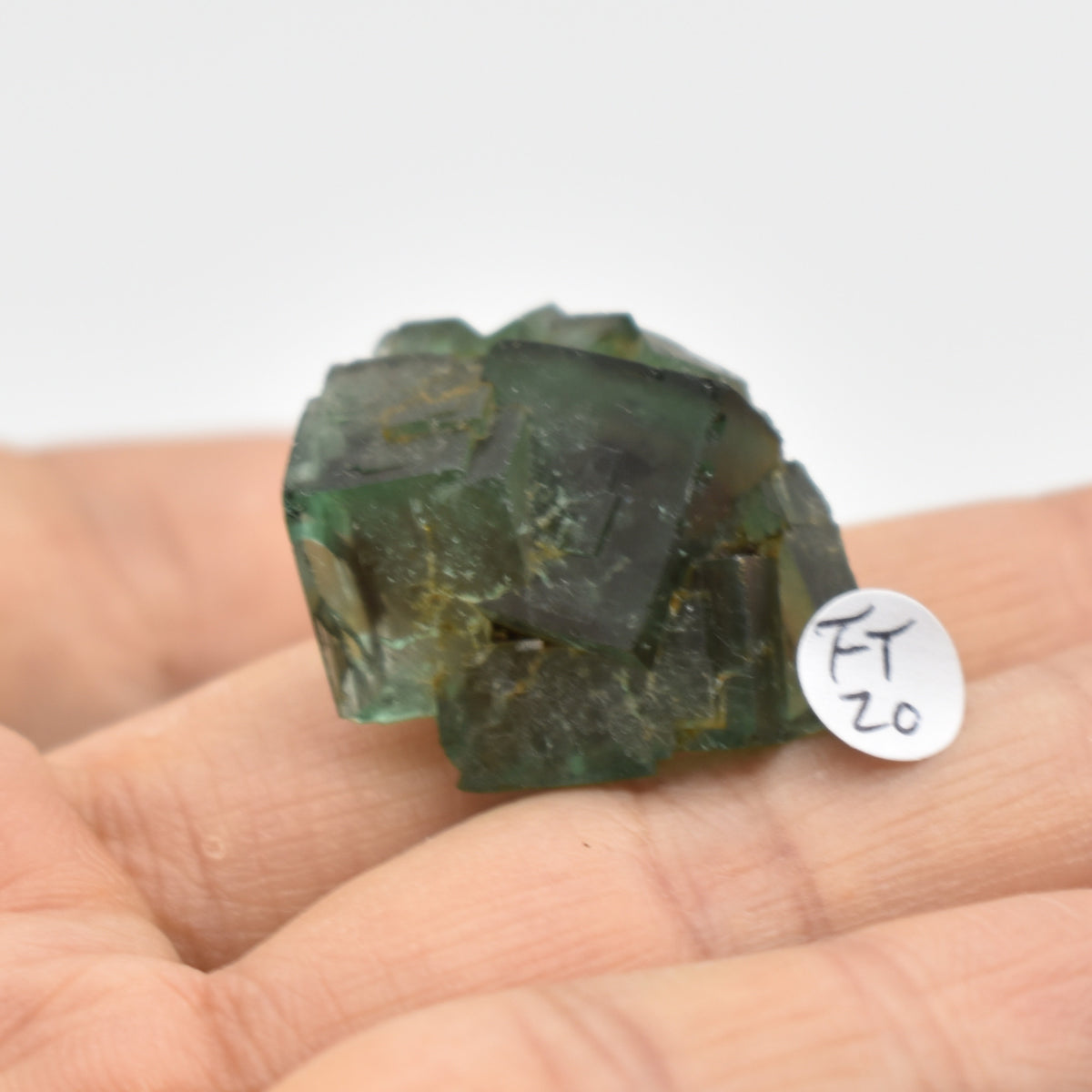 Diana Maria Fluorite Raw Crystal Cluster Specimen - Sourced UK - 8 sizes