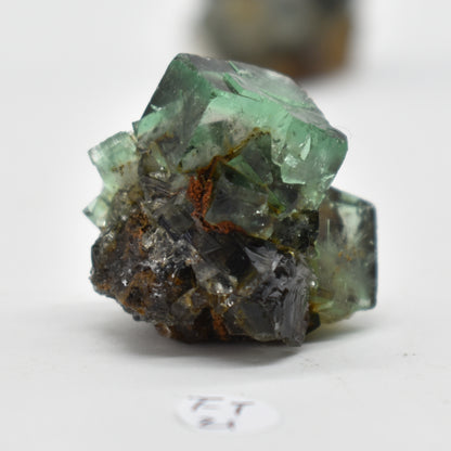 Diana Maria Fluorite Raw Crystal Cluster Specimen - Sourced UK - 8 sizes