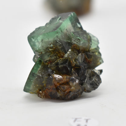Diana Maria Fluorite Raw Crystal Cluster Specimen - Sourced UK - 8 sizes