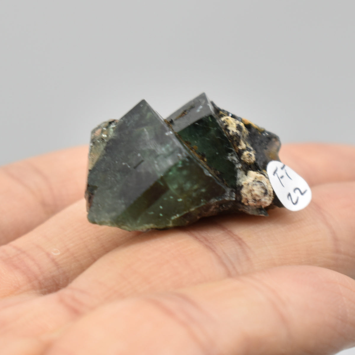 Diana Maria Fluorite Raw Crystal Cluster Specimen - Sourced UK - 2 sizes