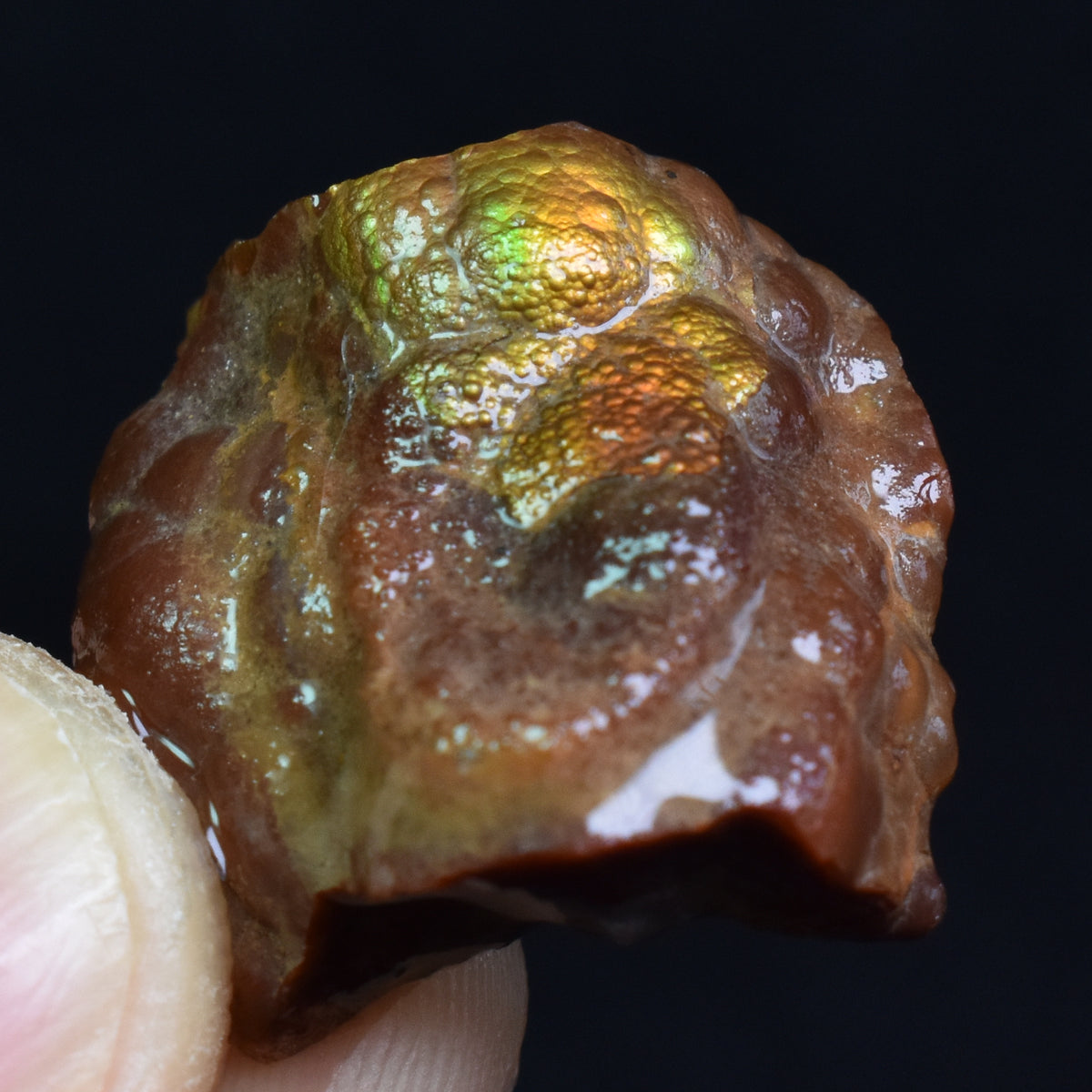 Mexican Rough Raw Fire Agate Specimen Rock - Top Grade - 27ct #62