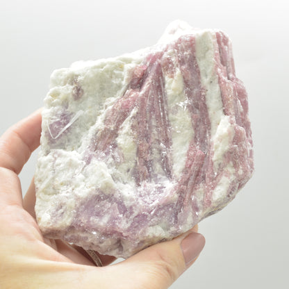 Raw Rubelite - Quartz Matrix with Pink Tourmaline Specimen Rock - 633 grams #27
