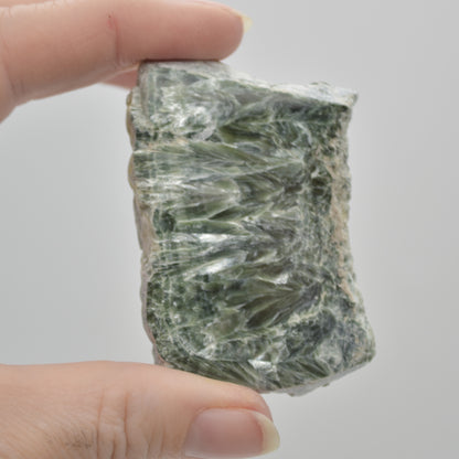 Raw Seraphinite Slice / Specimen Rock - 51 grams